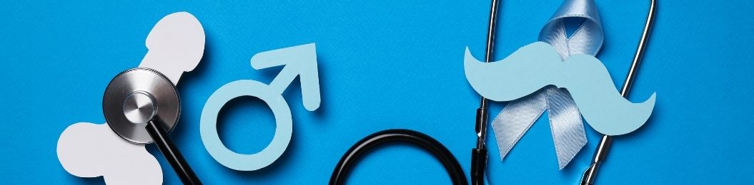 İşeme Organının Embriyolojisi ve Anatomisi