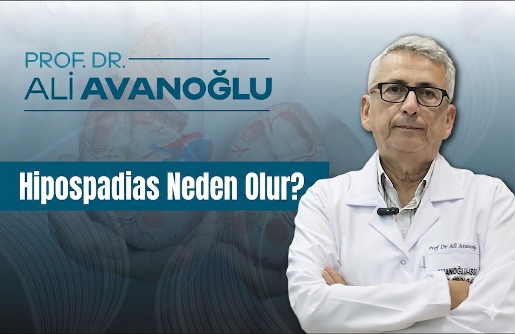 Hipospadias Neden Olur?