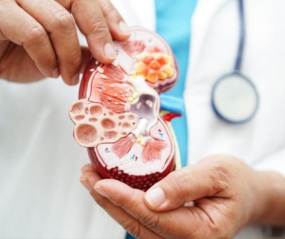 Üriner Sistem Taşlı Hastada Değerlendirme