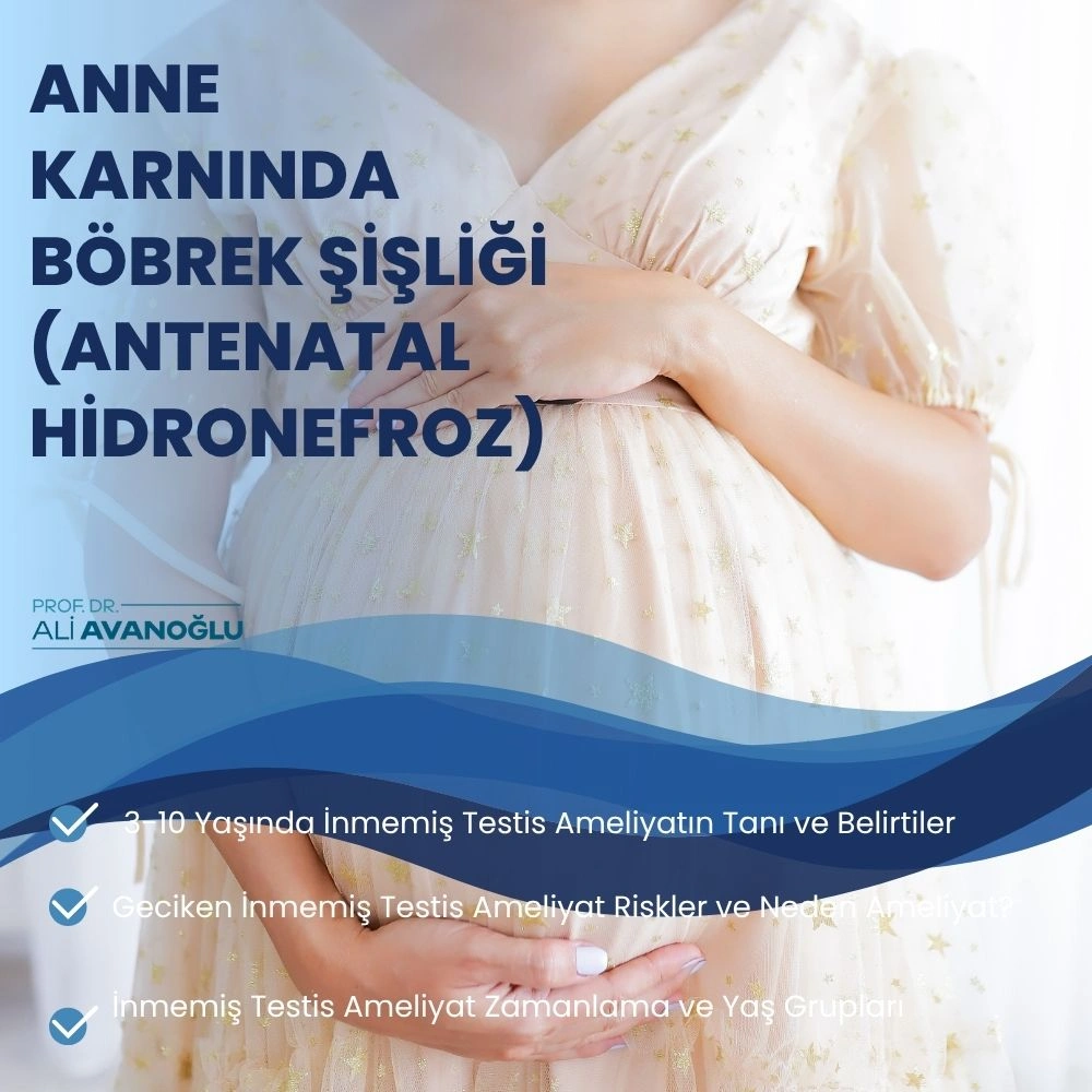 hidronefroz nedir