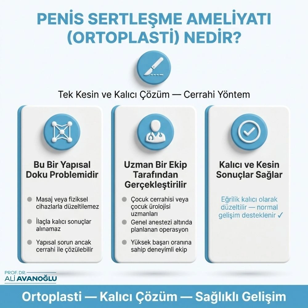 penis dikleştirme