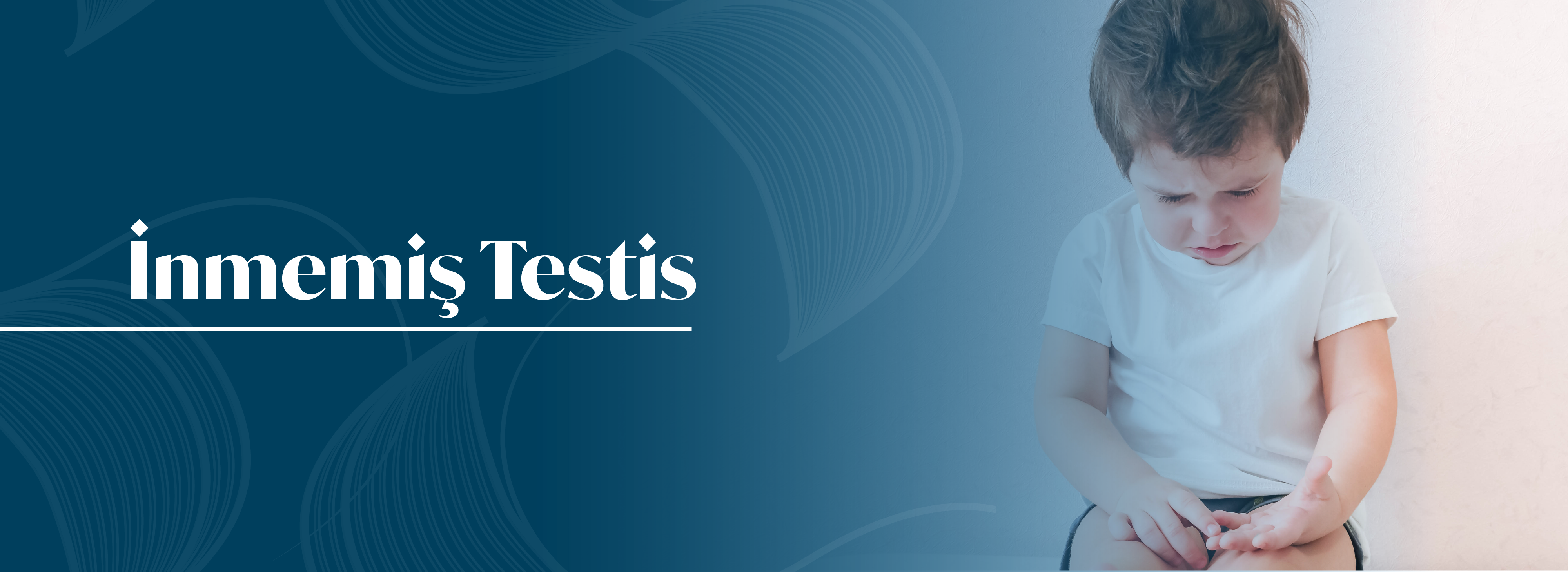 Prof. Dr Ali Avanoglu