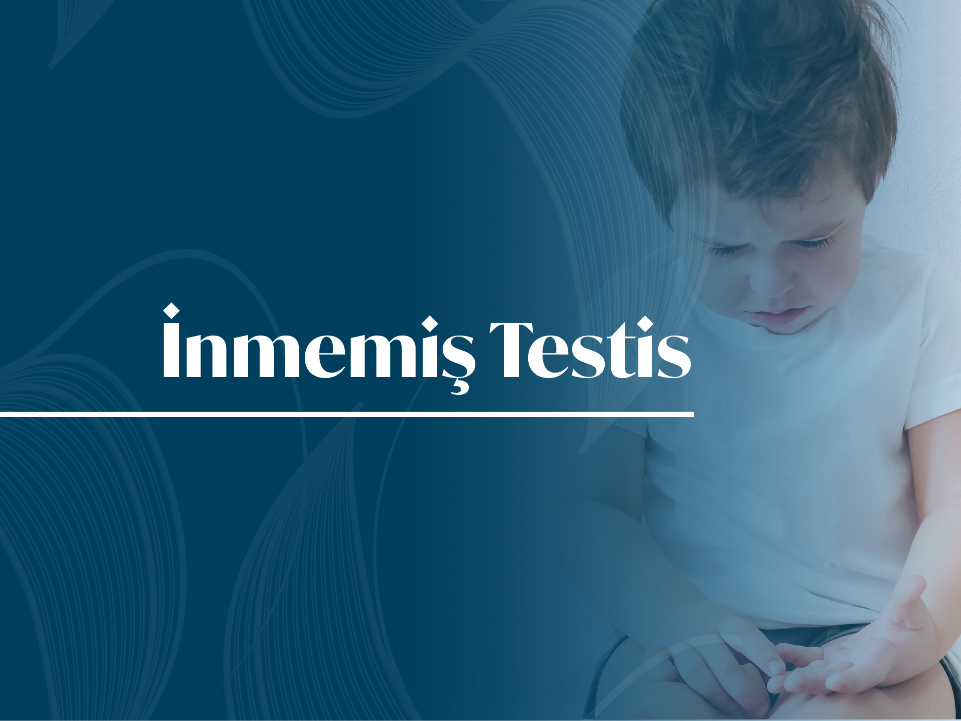 Prof. Dr Ali Avanoglu